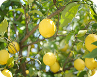 品質へのこだわり