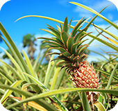 品質へのこだわり