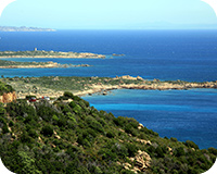 品質へのこだわり