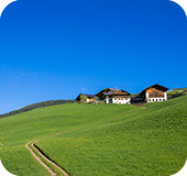 品質へのこだわり