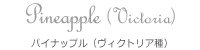 Pineapple (Victoria) パイナップル（ヴィクトリア種）