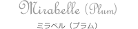 Mirabelle (Plum) ミラベル（プラム）